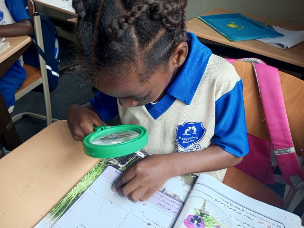 brainy explorers Primary2